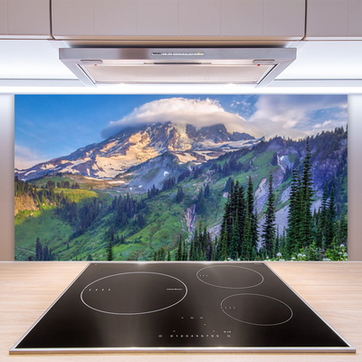 Spatscherm keuken glas Mountain forest landscape wildlife