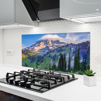 Spatscherm keuken glas Mountain forest landscape wildlife