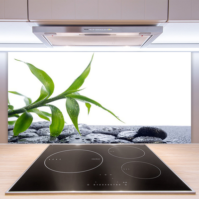 Spatscherm keuken glas Blad van natuurstenen plant