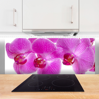 Spatscherm keuken glas Bloemen plantaardige aard