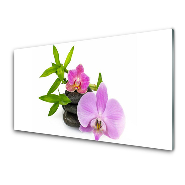 Spatscherm keuken glas Orchideebloemplant