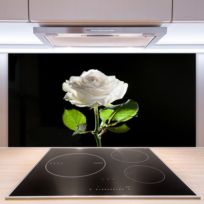 Spatscherm keuken glas Rose flower plant nature