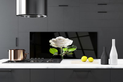 Spatscherm keuken glas Rose flower plant nature