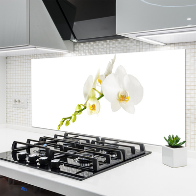 Spatscherm keuken glas Bloemen plantaardige aard