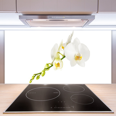 Spatscherm keuken glas Bloemen plantaardige aard