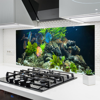 Spatscherm keuken glas Aquariumvis