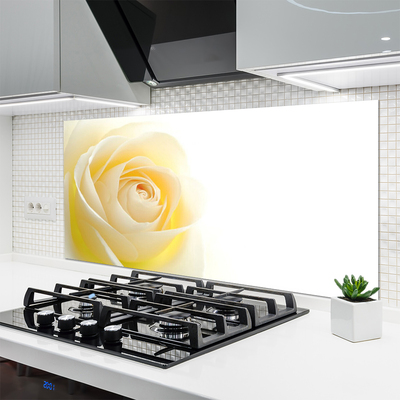 Spatscherm keuken glas Rose flower plant nature