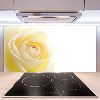 Spatscherm keuken glas Rose flower plant nature