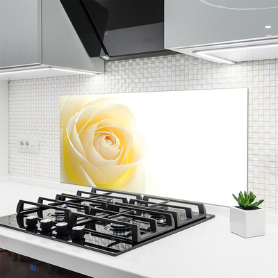 Spatscherm keuken glas Rose flower plant nature