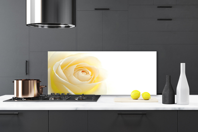 Spatscherm keuken glas Rose flower plant nature