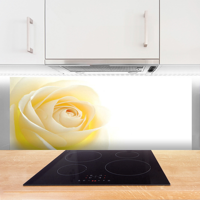 Spatscherm keuken glas Rose flower plant nature