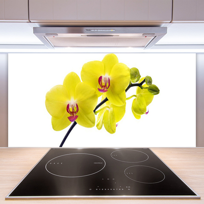 Spatscherm keuken glas Bloemen plantaardige aard