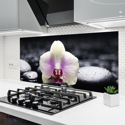 Spatscherm keuken glas Orchideebloemplant