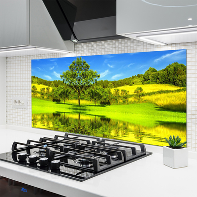 Spatscherm keuken glas Nature tree meadow