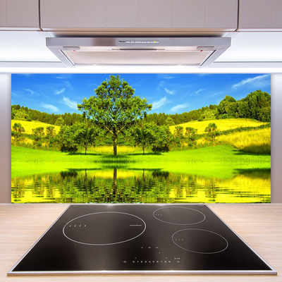 Spatscherm keuken glas Nature tree meadow