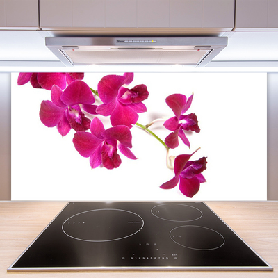 Spatscherm keuken glas Bloemen plantaardige aard