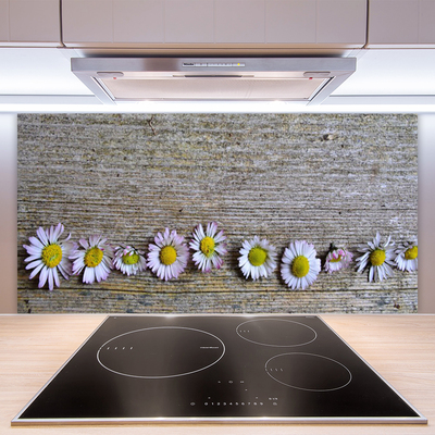 Spatscherm keuken glas Daisy plant nature