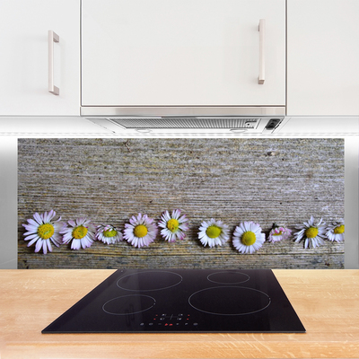 Spatscherm keuken glas Daisy plant nature