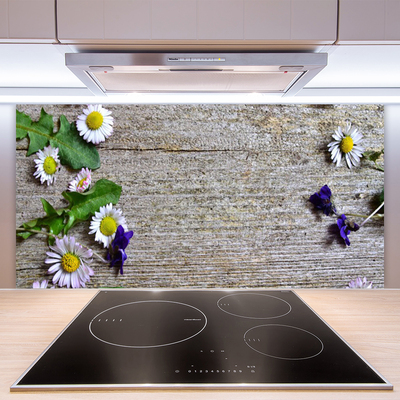 Spatscherm keuken glas Daisy plant nature