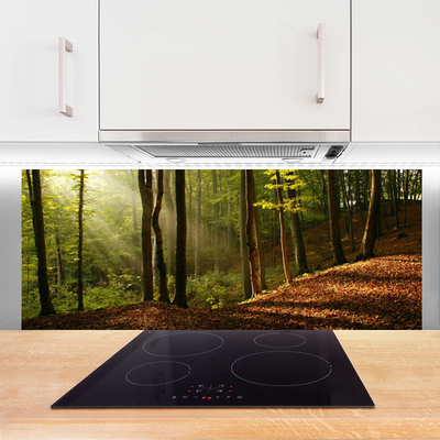 Moderne keuken achterwand Bos boom wildlife