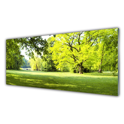 Moderne keuken achterwand Grasbomen park natuur