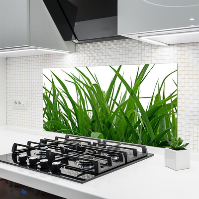 Moderne keuken achterwand Gras plantaard