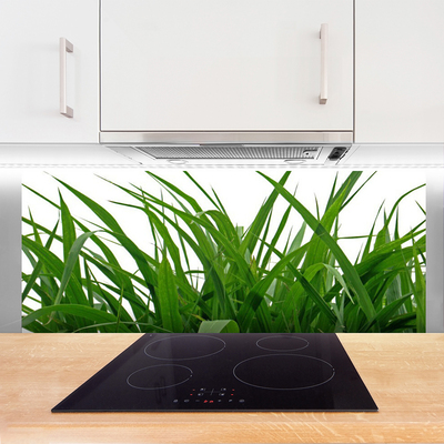 Moderne keuken achterwand Gras plantaard