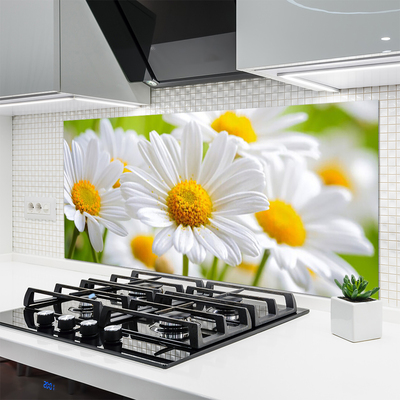 Moderne keuken achterwand Daisy plant nature