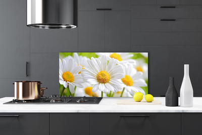 Moderne keuken achterwand Daisy plant nature