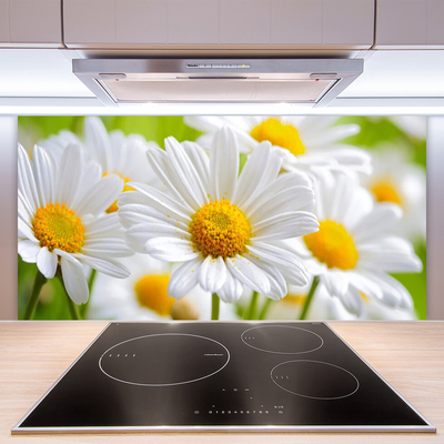 Moderne keuken achterwand Daisy plant nature