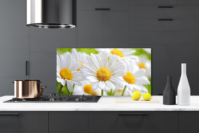 Moderne keuken achterwand Daisy plant nature