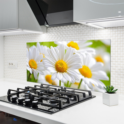 Moderne keuken achterwand Daisy plant nature