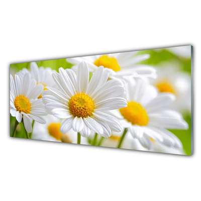 Moderne keuken achterwand Daisy plant nature