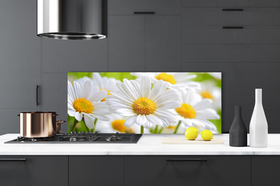 Moderne keuken achterwand Daisy plant nature