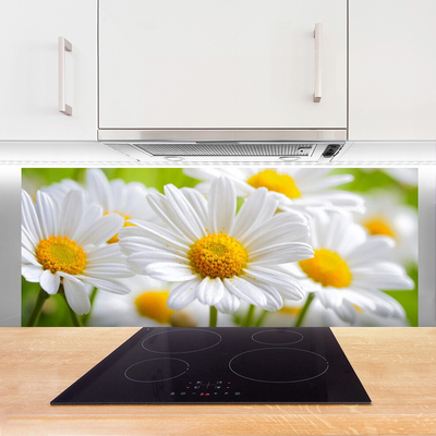 Moderne keuken achterwand Daisy plant nature