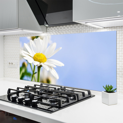 Moderne keuken achterwand Daisy plant nature