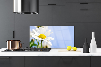 Moderne keuken achterwand Daisy plant nature