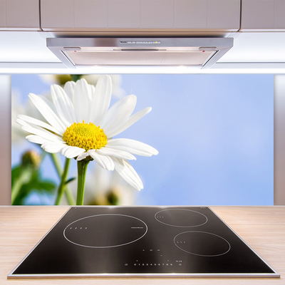 Moderne keuken achterwand Daisy plant nature