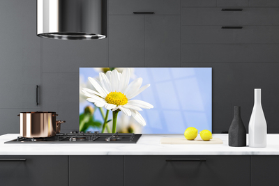 Moderne keuken achterwand Daisy plant nature