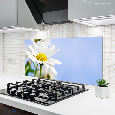 Moderne keuken achterwand Daisy plant nature