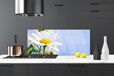 Moderne keuken achterwand Daisy plant nature