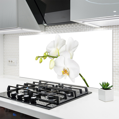 Moderne keuken achterwand Orchidee bloemen natuur