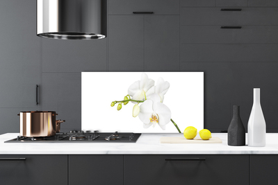 Moderne keuken achterwand Orchidee bloemen natuur