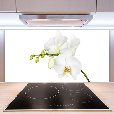 Moderne keuken achterwand Orchidee bloemen natuur