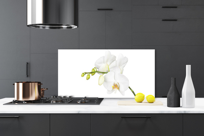 Moderne keuken achterwand Orchidee bloemen natuur