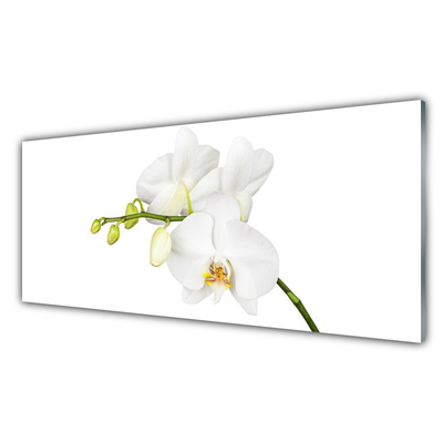 Moderne keuken achterwand Orchidee bloemen natuur