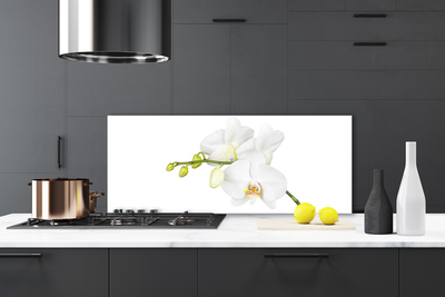 Moderne keuken achterwand Orchidee bloemen natuur