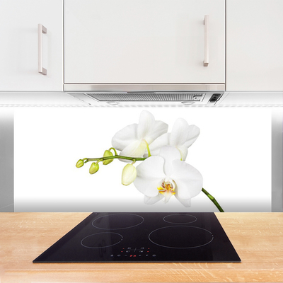 Moderne keuken achterwand Orchidee bloemen natuur