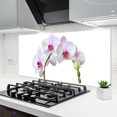 Moderne keuken achterwand Orchidee orchideeën bloemen