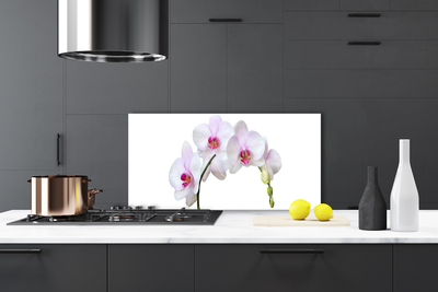 Moderne keuken achterwand Orchidee orchideeën bloemen